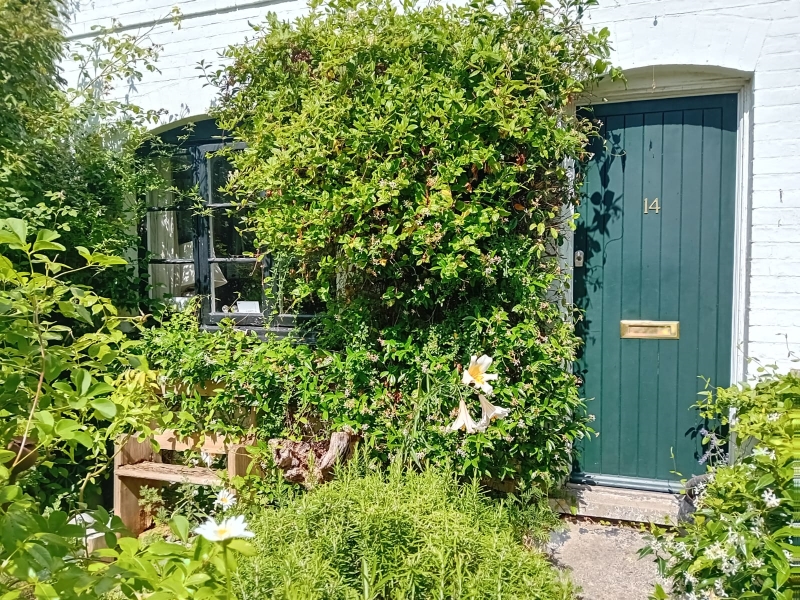 14 Dorset Road